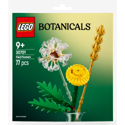 Конструктор LEGO Botanicals 30701 Полевые цветы арт. 30701 77 дет — фото 1
