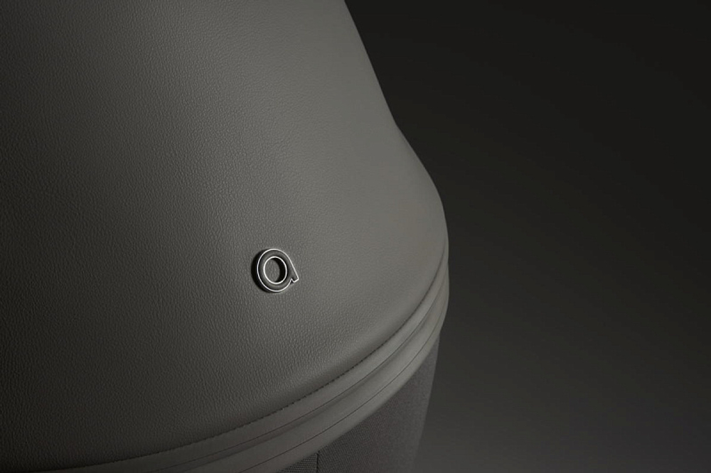 Детская коляска Anex Eli 2 в 1 без рюкзака Santal El-06