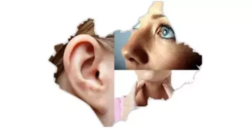 УХО ГОРЛО НОС