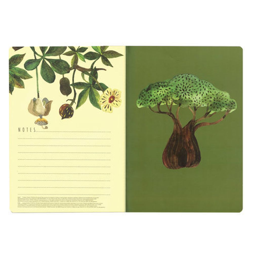 Тетрадь B5 (179x250 мм), 60 листов, BRUNO VISCONTI сшивка, клетка, Soft Touch, фольга, бежевая бумага 70 г/м, "БАОБАБ", 7-60-001/11