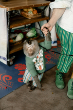 Богатырский праздник