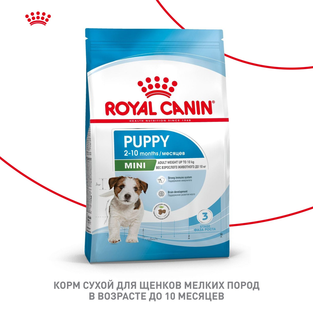 Royal Canin Mini Puppy Мини Паппи Корм сухой для щенков мелких пород в возрасте до 10 месяцев 4кг
