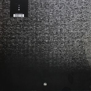 Portico Quartet / Terrain (LP)