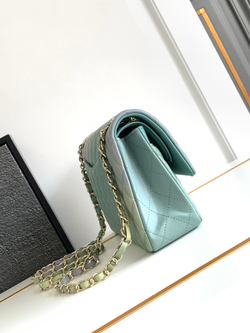 Chanel Bag 25 cm