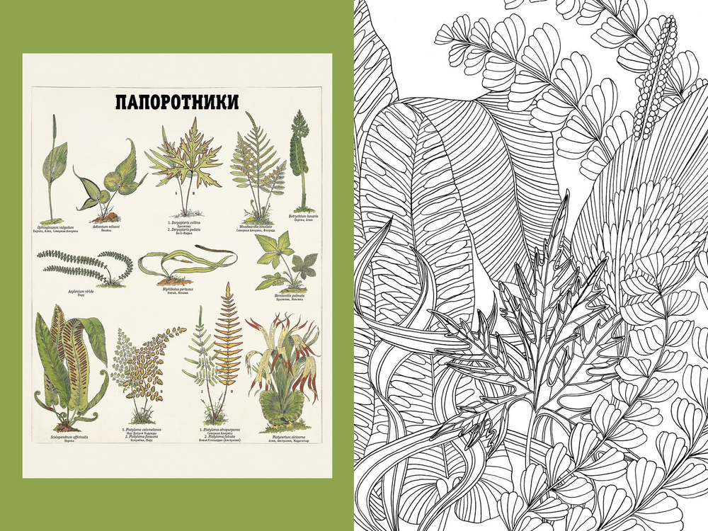 Вдохновляйся и рисуй. Природа