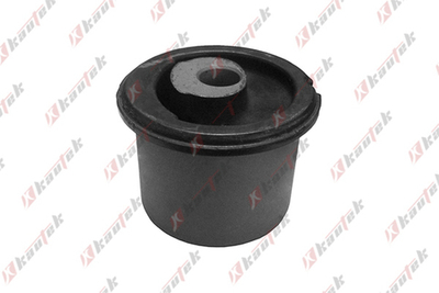 CIAK Truck - AUBS042-KTK - Mounting, control/trailing arm