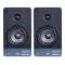 Radiotehnika S-10N Black Ash