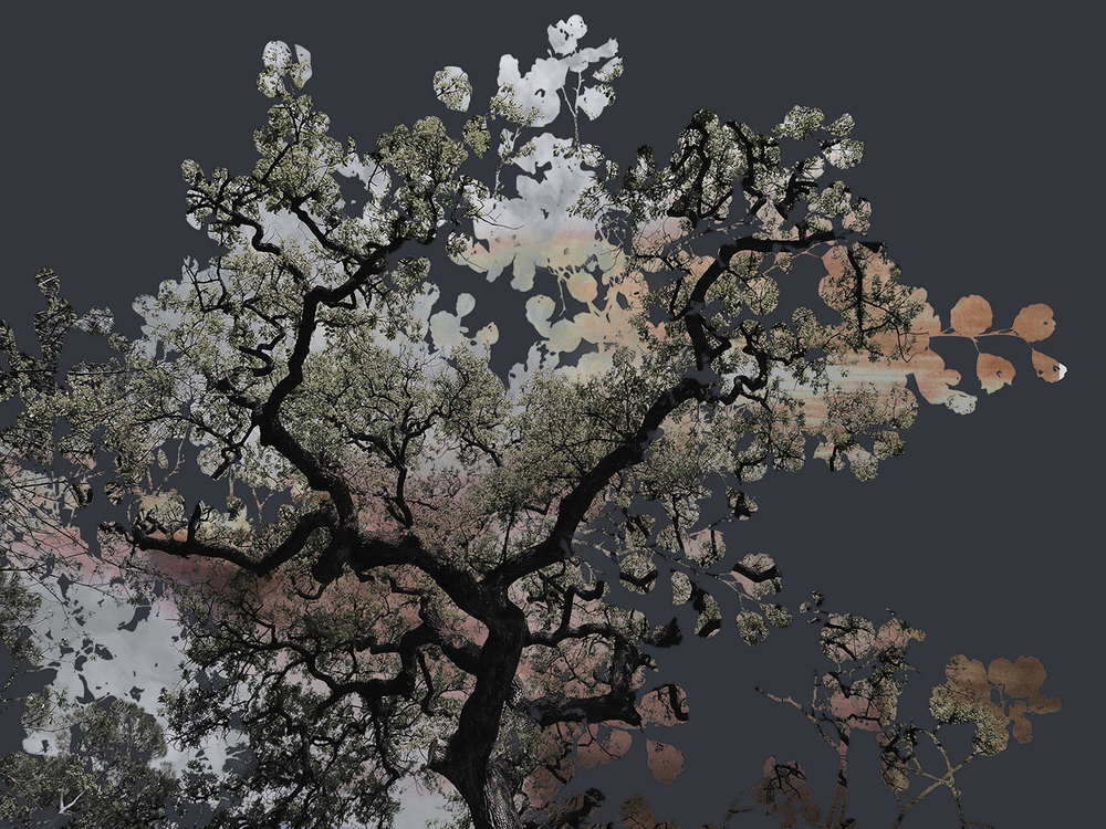 Дизайнерские обои Wall Street Vetve-21