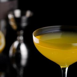 Рюмка коктейльная 165 мл "Libre" d 9,4 см h16,2 см   P.L. [6]