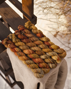 Носочная пряжа с добавлением шерсти "Ранняя осень" 20 г