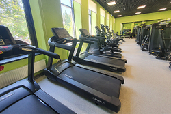 Беговая дорожка SPIRIT CT850 Graphite gray