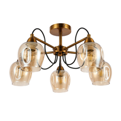 Светильник потолочный Evoluce Acro SLE110002-05