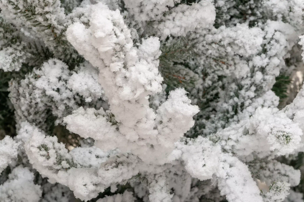 Искусственная елка Имперская заснеженная 210 см., литая хвоя+пвх, ЕлкиТорг (145210)