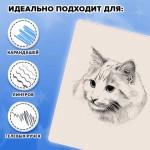 Скетчбук "Капибары"
