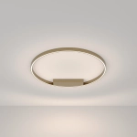Потолочный светильник Maytoni RIM MOD058CL-L50BSK