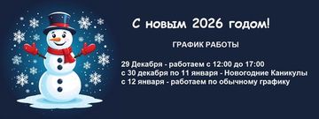 График работы на Новогодние праздники!