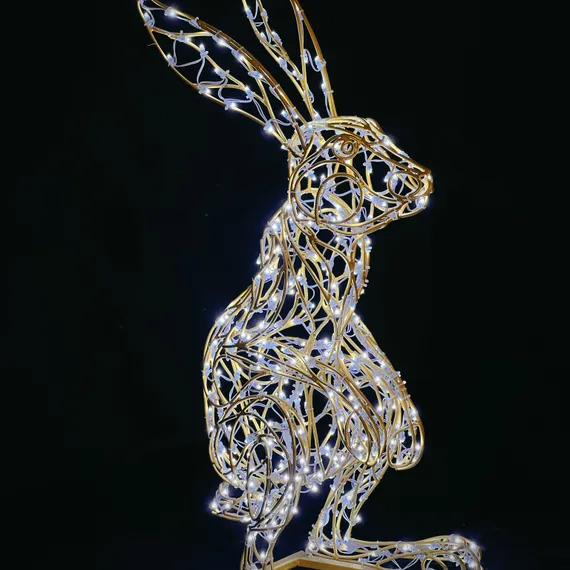 Заяц 9