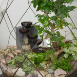 Готовый флорариум бонсай Лигуструм с водопадом Будда Фаберже