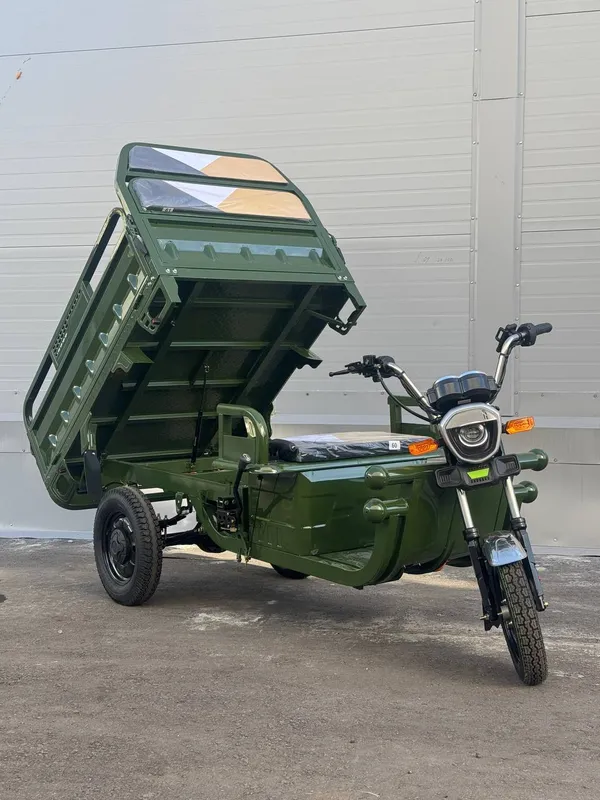 Грузовой электрический трицикл IKINGI CARGO C06 1500W (60V/45Ah) - Зелёный фото №1