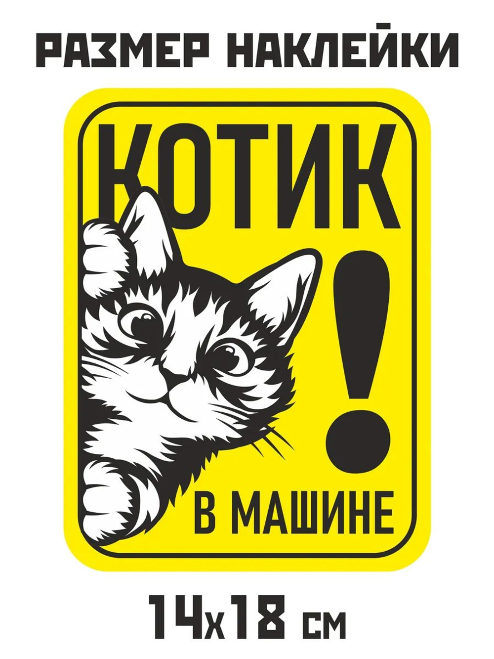 Наклейка на авто надпись с котом
