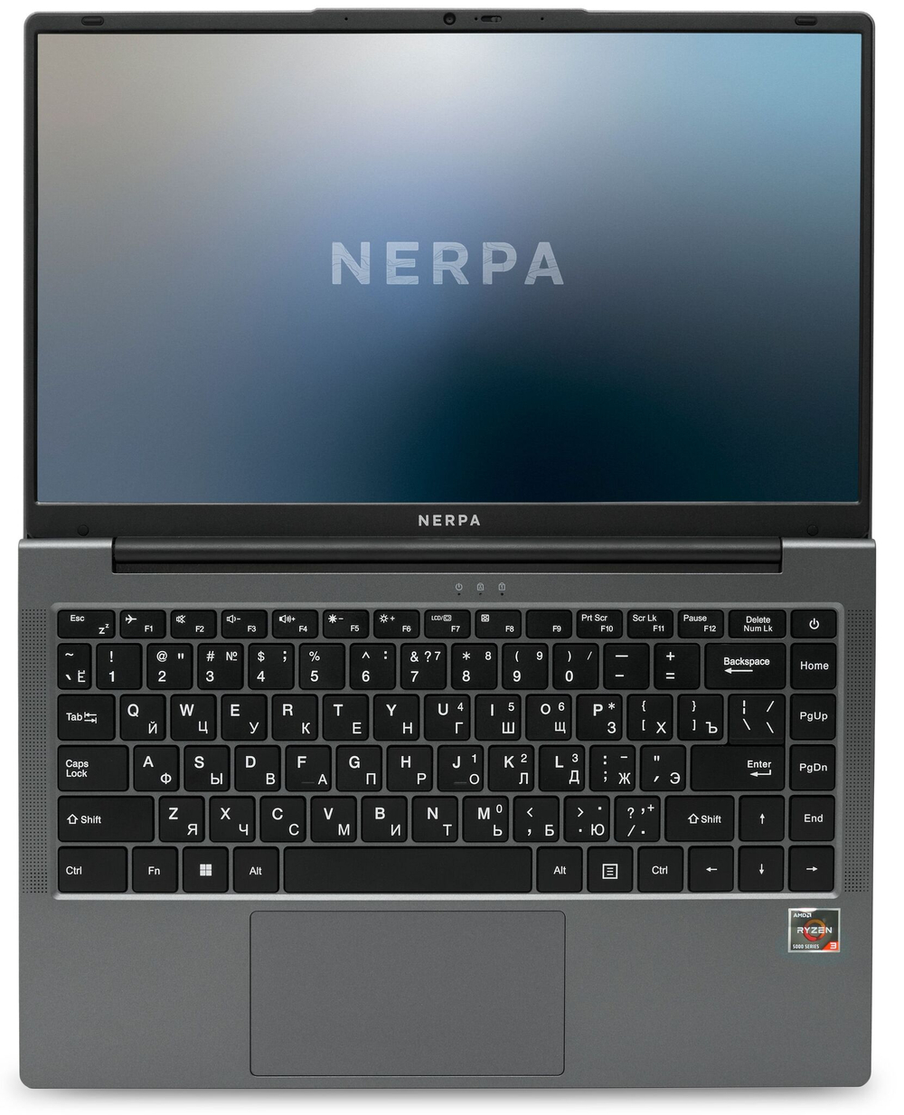 Ноутбук  Nerpa Caspica A342-14 14.1 ", Ryzen 3, 8 Гб RAM, 1 Тб SSD, Radeon Vega, Серый