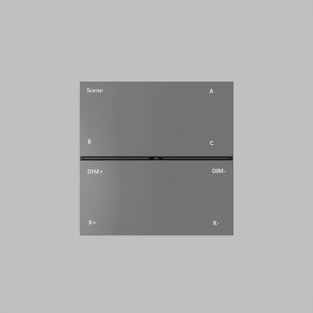 Панели управления для трековых систем