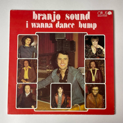 Винтажная виниловая пластинка LP Branjo Sound I Wanna Dance Bump (Чехословакия 1979)