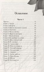 Хроники Черной Ведьмы. Книга 2. Железный цветок