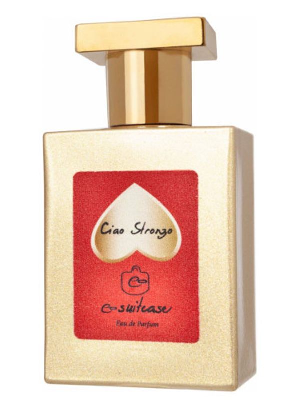 e-Suitcase Ciao Stronzo