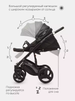 Коляска  AICON Ecco (2 в 1) 01 черный