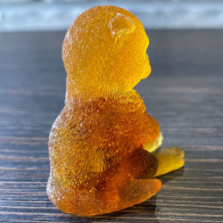 Кот забавно сидит
