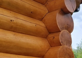 Красим дома