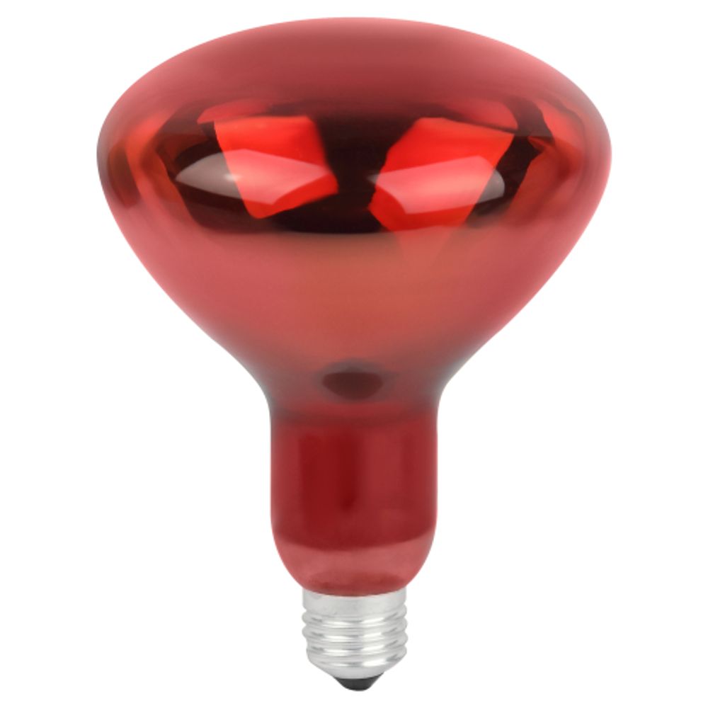 Инфракрасная лампа ЭРА ИКЗК 220-250 R127 для обогрева животных и освещения 250 Вт Е27 | Инфракрасные лампы