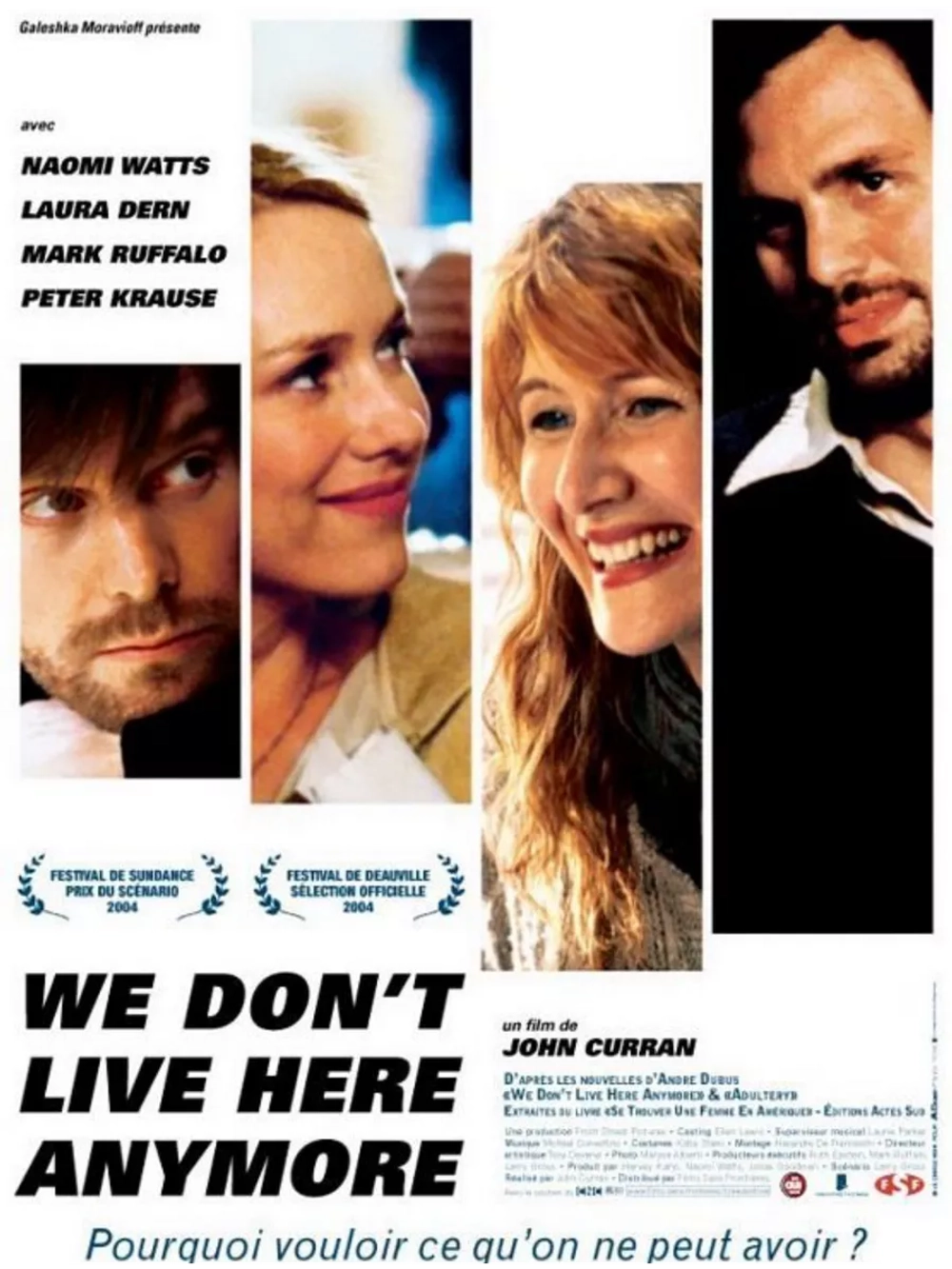 Мы здесь больше не живем (2004) (DVD-R)