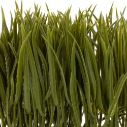 GAEM Цветочная композиция "Осока", L14 W7,5 H16 см