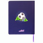 Дневник 1-4 класс 48 л., обложка кожзам (твердая), печать, аппликация, ЮНЛАНДИЯ, "ФУТБОЛ", 105936