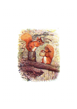 The tale of Squirrel Nutkin | Beatrix Potter