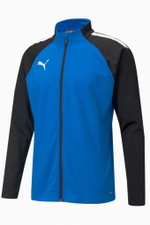 Кофта Puma teamLIGA Training