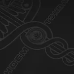 Худи Тандем Тэндай Вестник черный