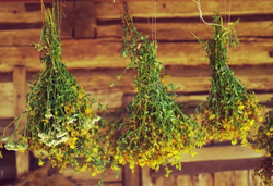 Веник для бани Зверобой Пучок