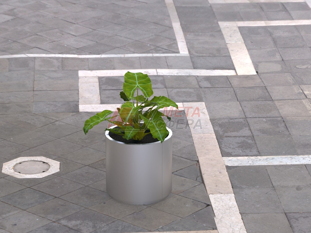 Вазон Глория