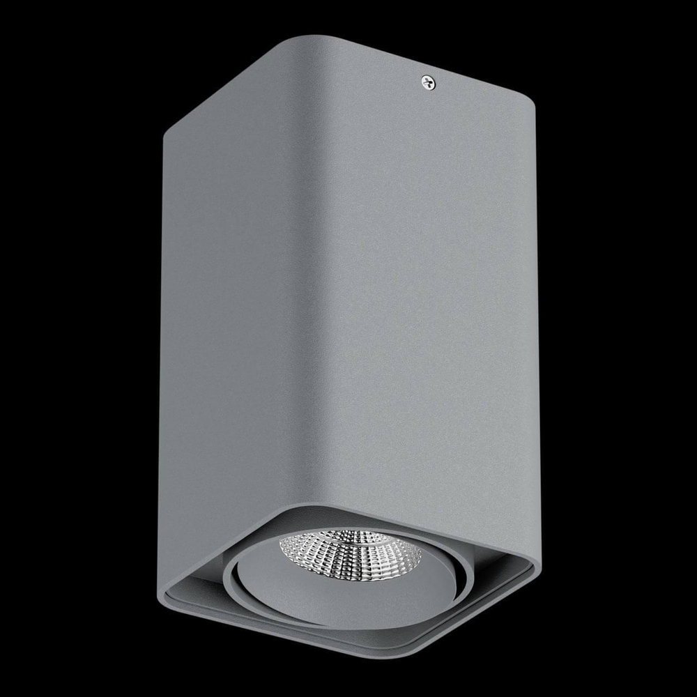 Накладной светильник Lightstar Monocco 052339