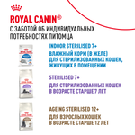 Royal Canin Indoor Sterilized 7+ Индор стерилайзд Корм влажный для стерилизованных кошек в возрасте от 7 до 12 лет живущих в помещении соус 85г