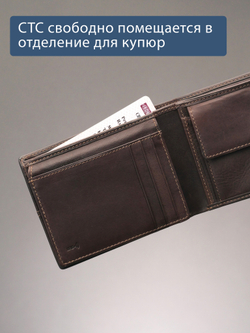 B240037R CASTANHO - Портмоне с RFID защитой MP