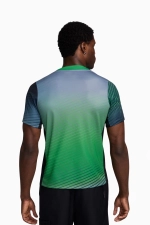 Футболка Nike Nigeria 2025 Academy Pro - зеленый