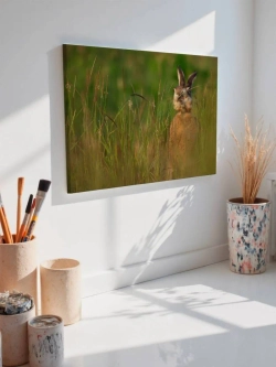 Картина на стену 40 X 50 Заяц