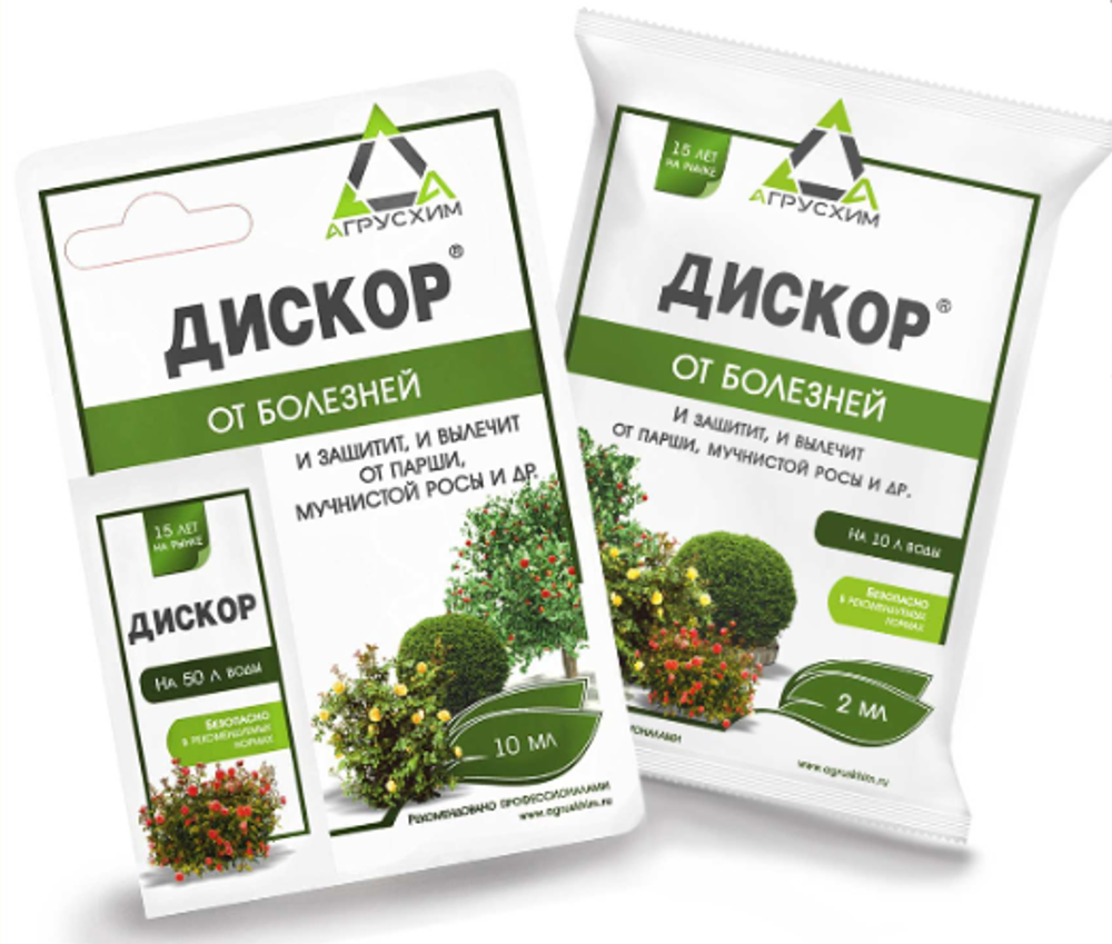 Дискор