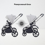 Детская коляска Rant Flex Therm Soft 3 в 1 с автокреслом Evomax Grey Stone Grey