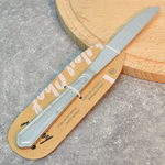 Нож столовый "Ivlev Chef Ladoga"