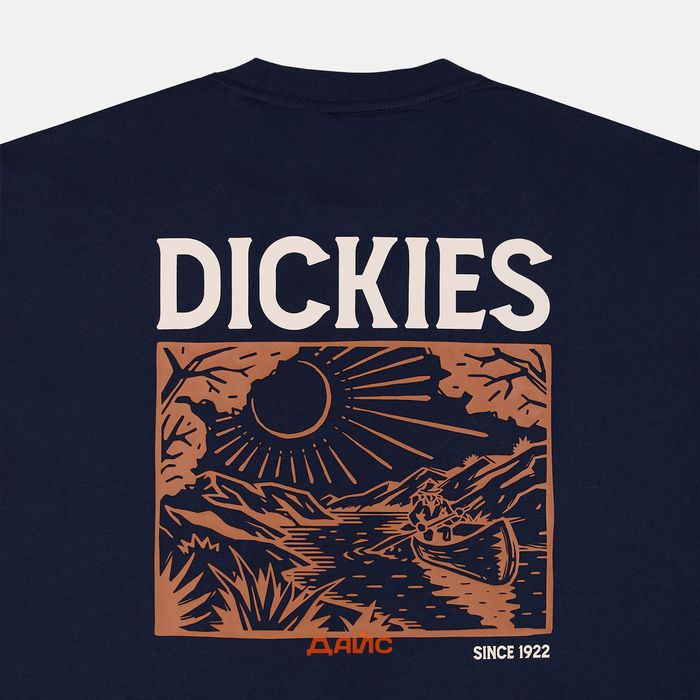 Футболка мужская Dickies Patrick Springs Tee артикул:DK0A4YR7DNX1 - купить в магазине Дайс